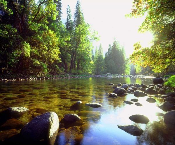 USA, California, Yosemite NP The Merced River